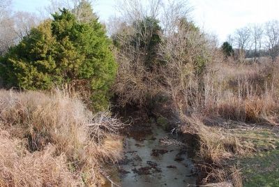 Tishomingo Creek Bridge Terrain. Click for full size. Tishomingo Creek Bridge Terrain image. Click for full size.