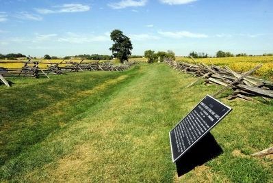 Richardson's Division, Second Army Corps Marker<br>Looking West Along Bloody Lane image. Click for full size.