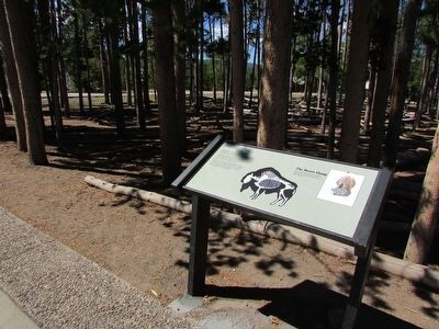 Marker in the Upper Geyser Basin. Click for full size. Marker in the Upper Geyser Basin image. Click for full size.