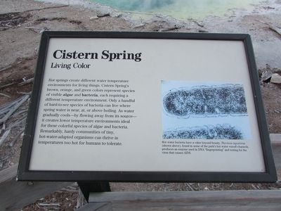 Cistern Spring Marker image. Click for full size.