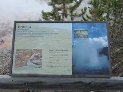 Echinus	 Marker image. Click for full size.