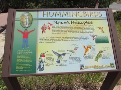 Hummingbirds Marker. Click for full size. Hummingbirds Marker image. Click for full size.