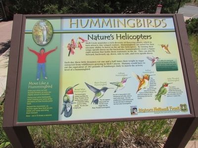 Hummingbirds Marker image. Click for full size.
