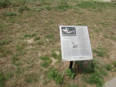 The Innocent Assassins Marker. Click for full size. The Innocent Assassins Marker image. Click for full size.