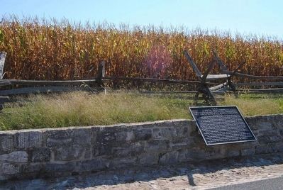 Fifth Army Corps Marker. Click for full size. Fifth Army Corps Marker image. Click for full size.