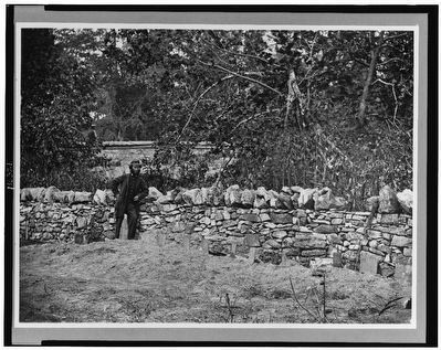 Soldier standing at graves of Federal soldiers, along stone fence, at Burnside Bridge, Antietam, MD image. Click for full size.