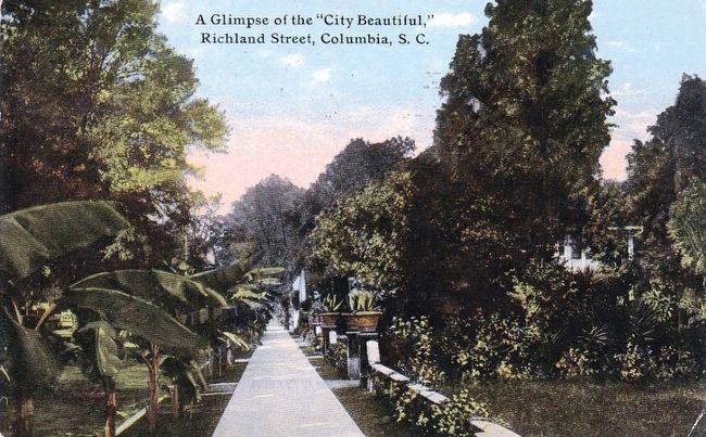 <i>A Glimpse of the "City Beautiful," Richland Street, Columbia, S. C.</i>. Click for full size. <i>A Glimpse of the "City Beautiful," Richland Street, Columbia, S. C.</i> image. Click for full size.