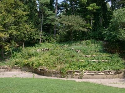 Rock Garden Masterpiece. Click for full size. Rock Garden Masterpiece image. Click for full size.