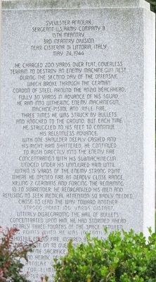 n Honor of Sgt. Sylvester Antolak US Army Marker image. Click for full size.