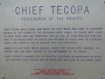 Chief Tecopa Marker image. Click for full size.