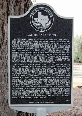 Las Moras Spring Marker image. Click for full size.