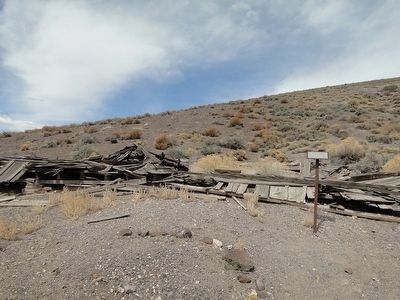 The Clubhouse Ruins and Marker image. Click for full size.