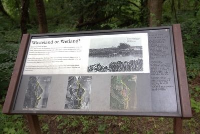 Wasteland or Wetland? Marker image. Click for full size.