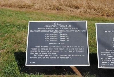 Jackson's Command Marker. Click for full size. Jackson's Command Marker image. Click for full size.
