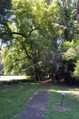Old Trace Path Interpretive Sign<br>Along Trail to Family Cemetery and Old Trace image. Click for full size.