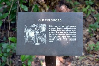 Old Field Road Interpretive Sign image. Click for full size.