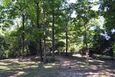 Ferguson-Chamberlain Family Cemetery image. Click for full size.