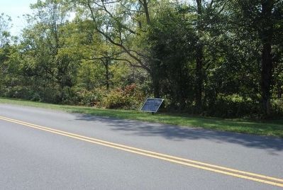 Jackson's Command Marker. Click for full size. Jackson's Command Marker image. Click for full size.