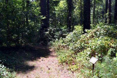 The Beginning of the Bullen Creek Nature Trail image. Click for full size.