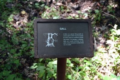Gall Interpretive Sign image. Click for full size.
