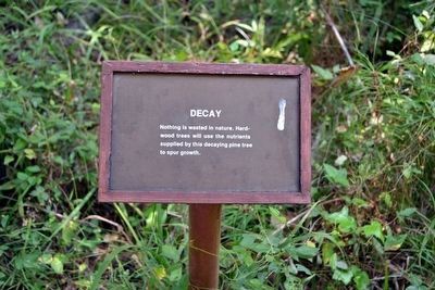 Decay Interpretive Sign image. Click for full size.