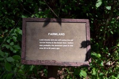 Farmland Interpretive Sign image. Click for full size.