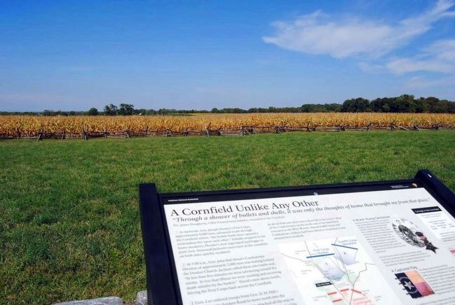 A Cornfield Unlike Any Other Marker and the Cornfield. Click for full size. A Cornfield Unlike Any Other Marker and the Cornfield image. Click for full size.