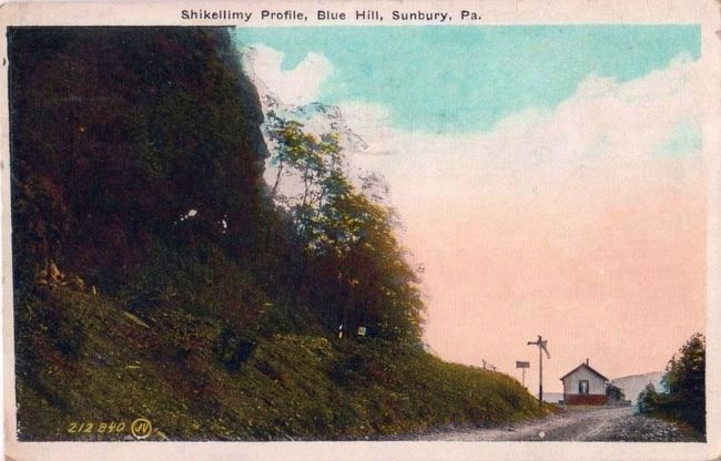 <i>Shikellimy Profile, Blue Hill, Sunbury, Pa. </i> image. Click for full size.