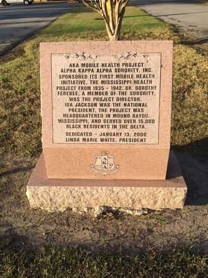 AKA Mobile Health Project monument in front of Delta Health Center. image. Click for full size.