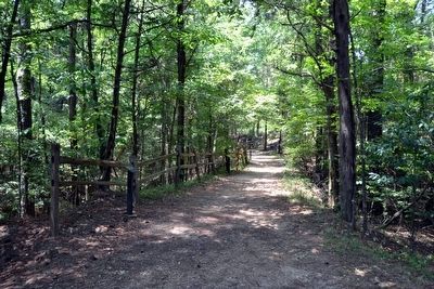 The Old Natchez Trace. Click for full size. The Old Natchez Trace image. Click for full size.