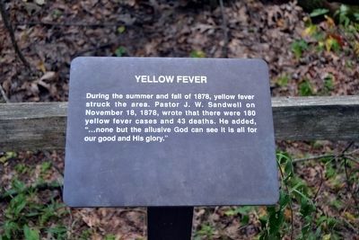 Yellow Fever Interpretive Sign image. Click for full size.