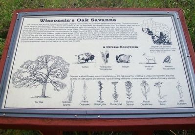 Wisconsin's Oak Savanna Marker image. Click for full size.