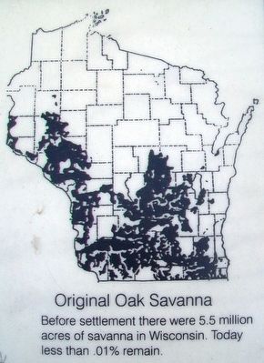 Wisconsin's Oak Savanna Marker Detail image. Click for full size.