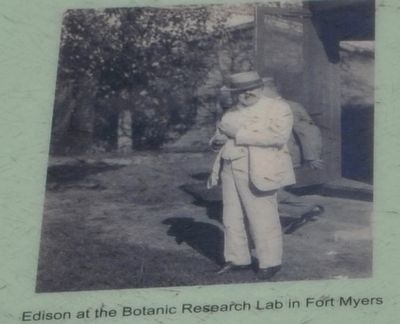 Edison at the Botanic Research Lab in Fort Myers image. Click for full size.