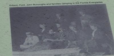 Edison, Ford, John Burroughs and families camping in the Florida Everglades. image. Click for full size.
