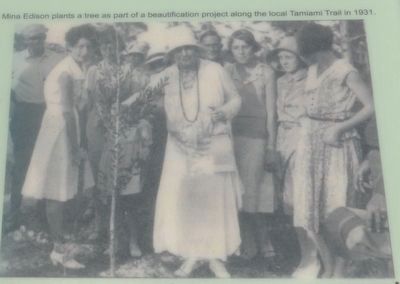 Mina Miller Edison image. Click for full size.