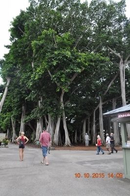 Thomas Alva Edison Statue and Trees image. Click for full size.