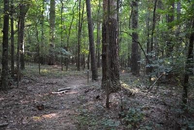 Beginning of the Southern Pines Nature Trail. Click for full size. Beginning of the Southern Pines Nature Trail image. Click for full size.