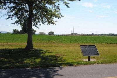 Jackson's Command Marker. Click for full size. Jackson's Command Marker image. Click for full size.