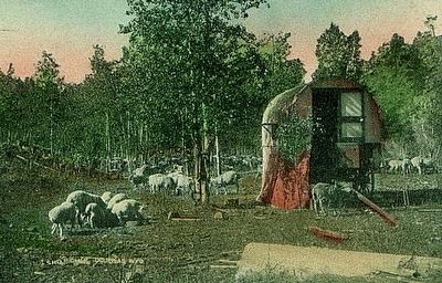Sheep Camp. Click for full size. Sheep Camp image. Click for full size.