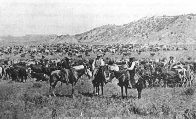 Ranching in Wyoming. Click for full size. Ranching in Wyoming image. Click for full size.