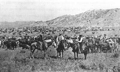 Ranching in Wyoming image. Click for full size.
