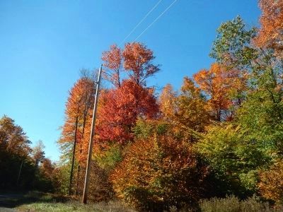 Canton Fall Foliage. Click for full size. Canton Fall Foliage image. Click for full size.