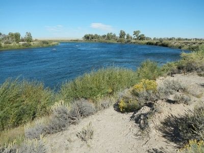 The Green River at Seedskadee National Wildlife Refuge image. Click for full size.