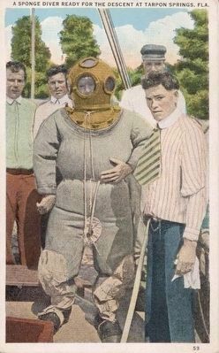 <i>A Sponge Diver Ready for the Descent, Tarpon Springs, Fla.</i> image. Click for full size.