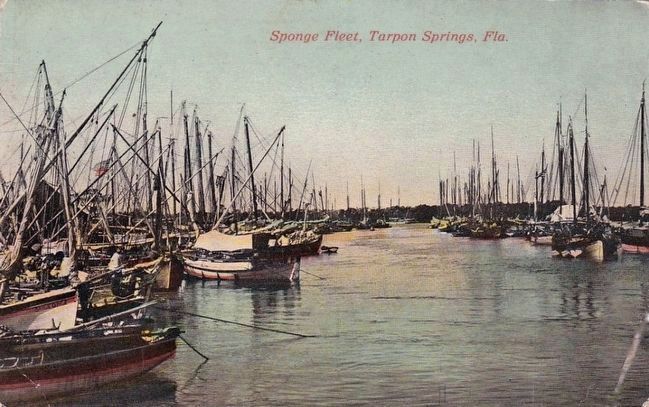 <i>Sponge Fleet, Tarpon Springs, Fla.</i> image. Click for full size.