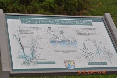 Using Fire to Benefit Wildlife Marker. Click for full size. Using Fire to Benefit Wildlife Marker image. Click for full size.