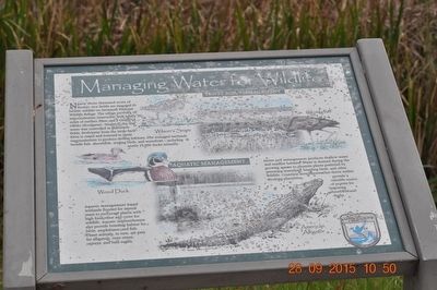 Managing Water for Wildlife Marker image. Click for full size.