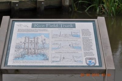 Rice Field Trunk Marker image. Click for full size.