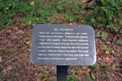 El Lagarto Interpretive Sign image. Click for full size.